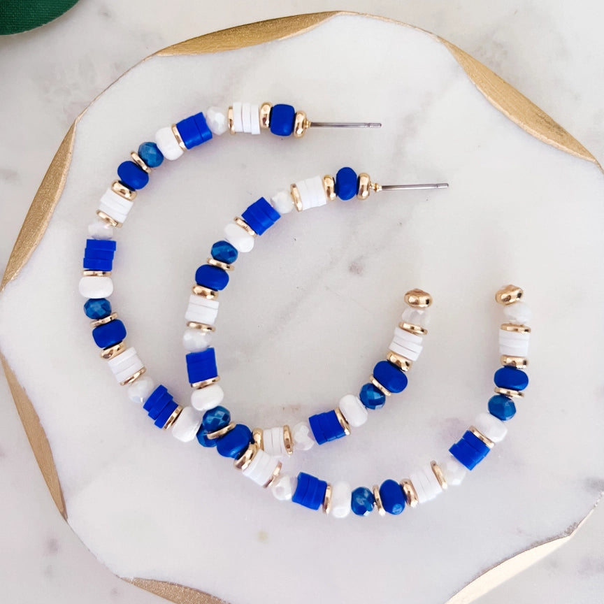 Blue and White Beaded Earring